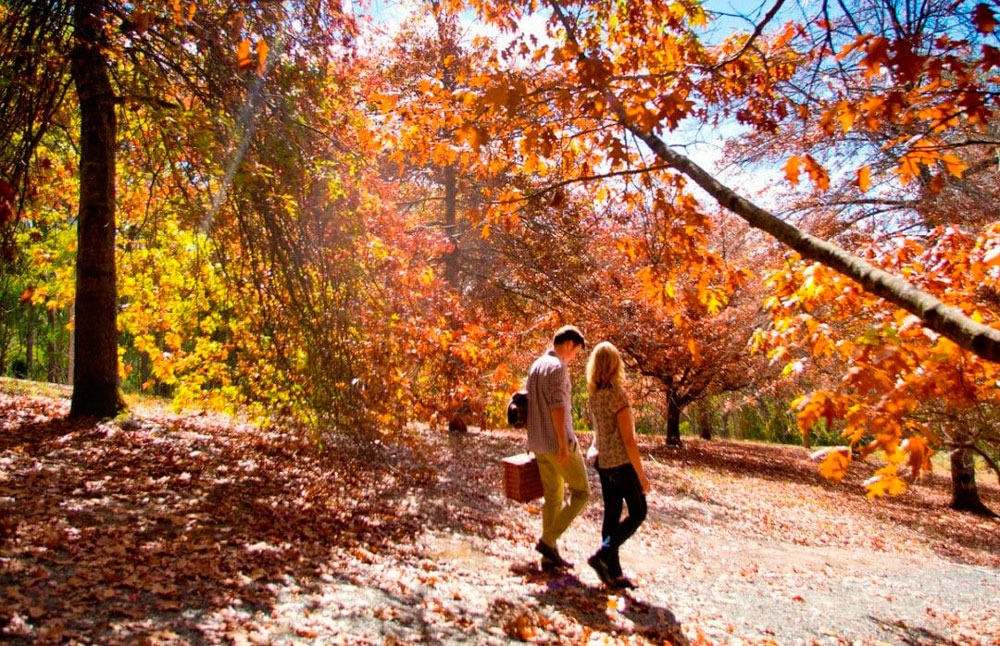 autumn in australia