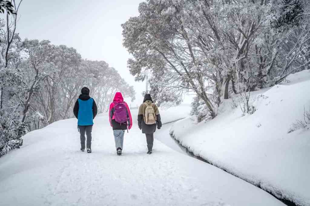 Winter Season in Australia