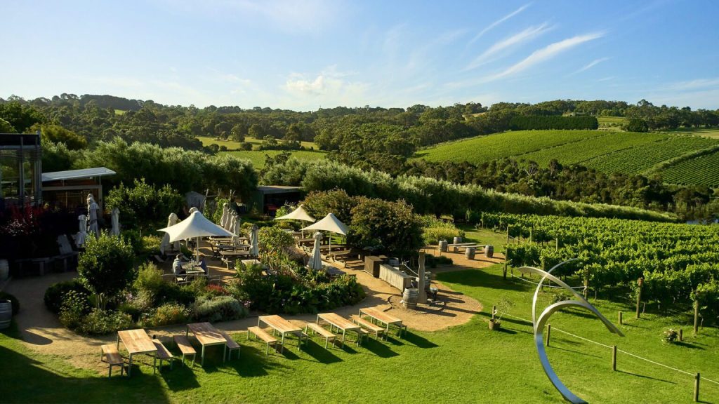 Best Wineries in Mornington Peninsula