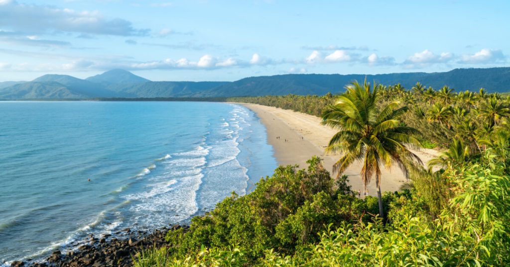Best Time to Visit Port Douglas