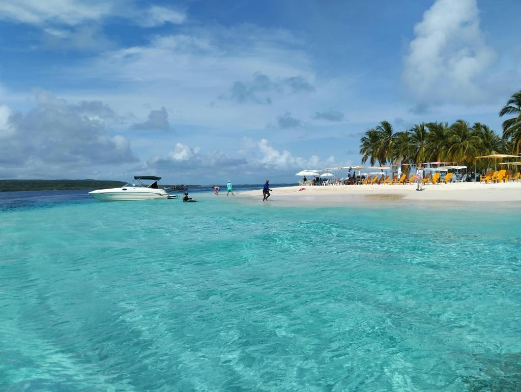 Best Beaches in Wollongong