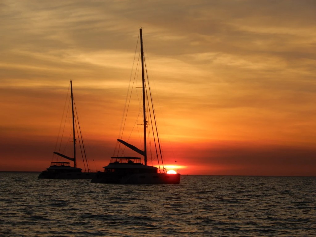 Sea Darwin - Sea Tiwi