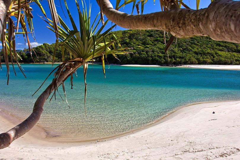 Tallebudgera Creek Beach