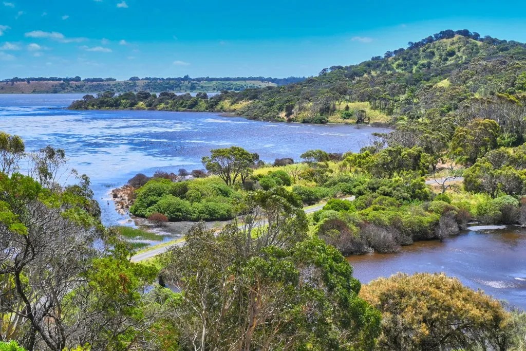 Tower Hill Wildlife Reserve